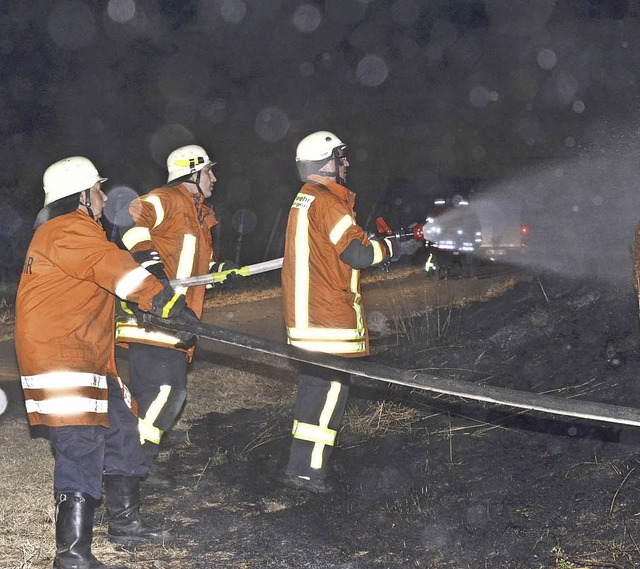 Sasbach. Feuerwehrleute beim lschen des in Band geratenen Raines.  | Foto: Roland Vitt