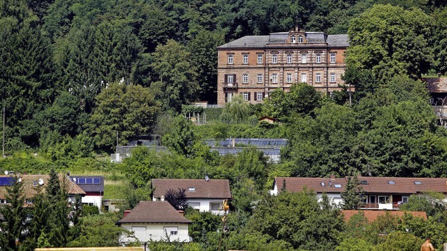 Das Reichswaisenhaus (rechts oben) und...n. Interessent ist die Firma Bauwert.   | Foto: Archiv: Christoph Breithaupt