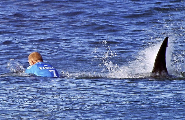 Riesiges Glck hatte der Surfer Mick F...g neben ihm der Weie Hai auftauchte.   | Foto: AFP