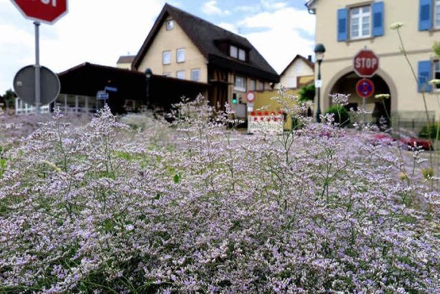 Grne Inseln selbst bei Hitze und Trockenheit