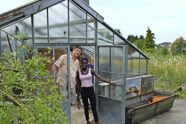 Der alte Klostergarten soll aufblhen