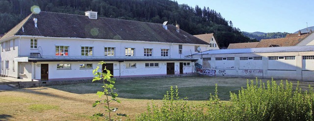 &#8222;Das Gebiet wird sich in den kom...hwindet, ist derzeit schwer zu sagen.   | Foto: Bertsch