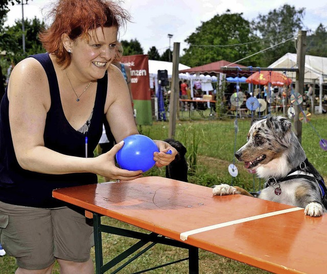 Nicht zum Aushalten: Whrend Frauchen ...jagd des Maulburger Hundesportvereins.  | Foto: Diehl