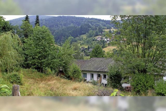 Im Paradiesbuck gibt es neue Baumglichkeiten