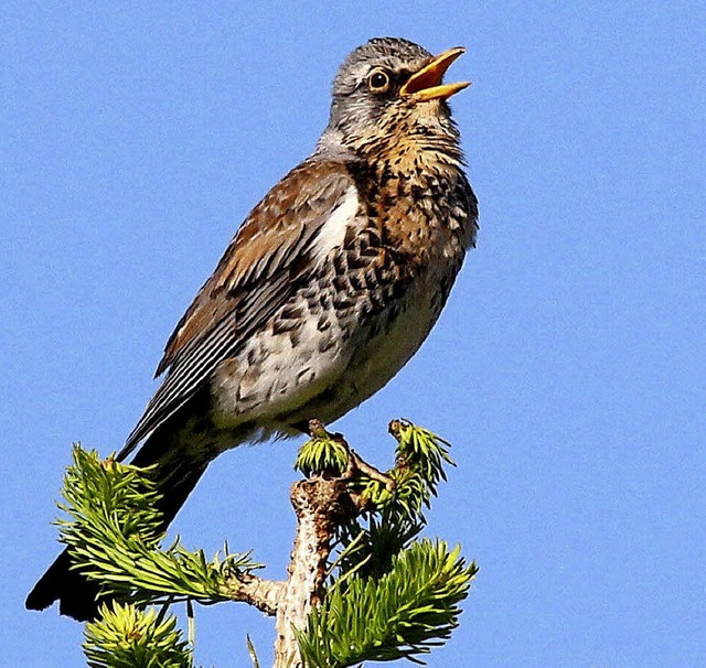   | Foto: Haus der Natur