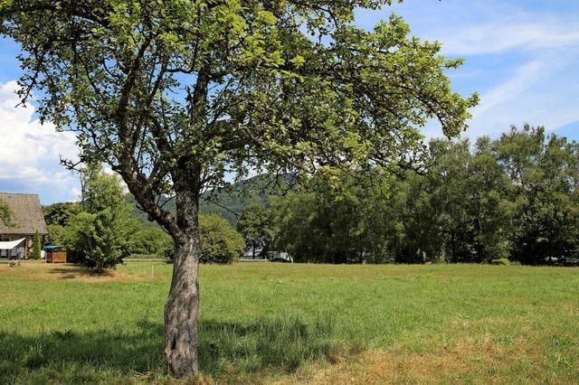 Huslebauer stehen in Startlchern