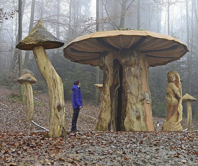 Alles ber Pilze auf dem Lehrpfad  | Foto: Ingo Schneider