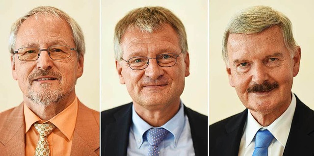 Die drei neu gewhlten Sprecher der ba...rimmer, Jrg Meuthen und Lothar Maier,  | Foto: dpa