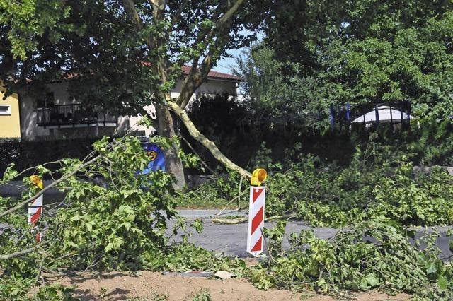 Neun Feuerwehreinstze nach Sturm