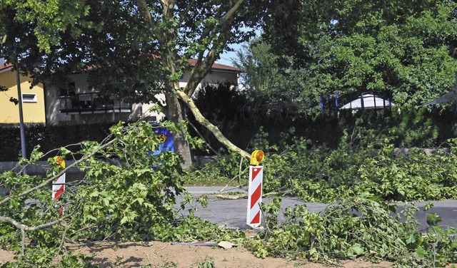 Abgeknickte Platanen-ste blockieren d... die bers Wochenende gesperrt wurde.   | Foto: Helmut Seller