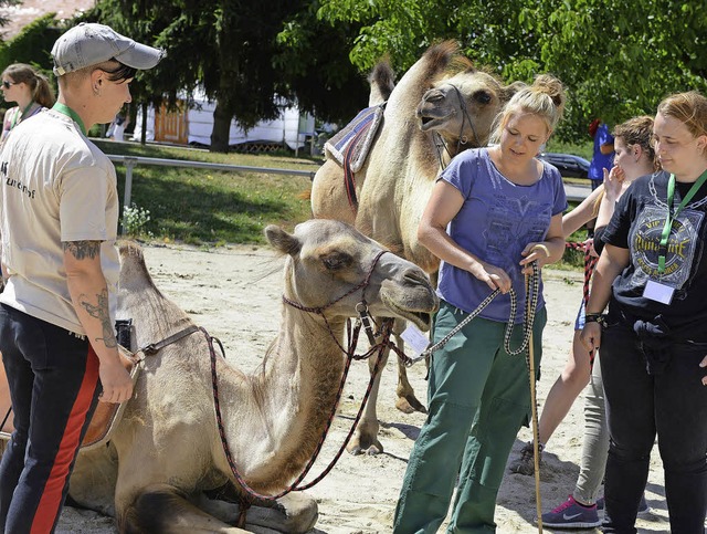 Kamelpflegerin Regine Kster (links) mit Azubis   | Foto: rita Eggstein