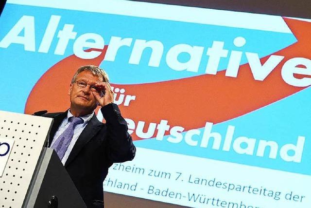 Sdwest-AfD: Ohne Beschimpfungen und Beleidigungen