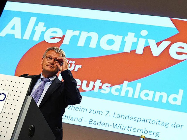 Jrg Meuthen, stellvertretender Bundes...zender der Alternative fr Deutschland  | Foto: dpa