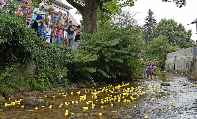 626 Gummientchen machten sich auf den Weg kanderabwrts.  | Foto: Silke Hartenstein