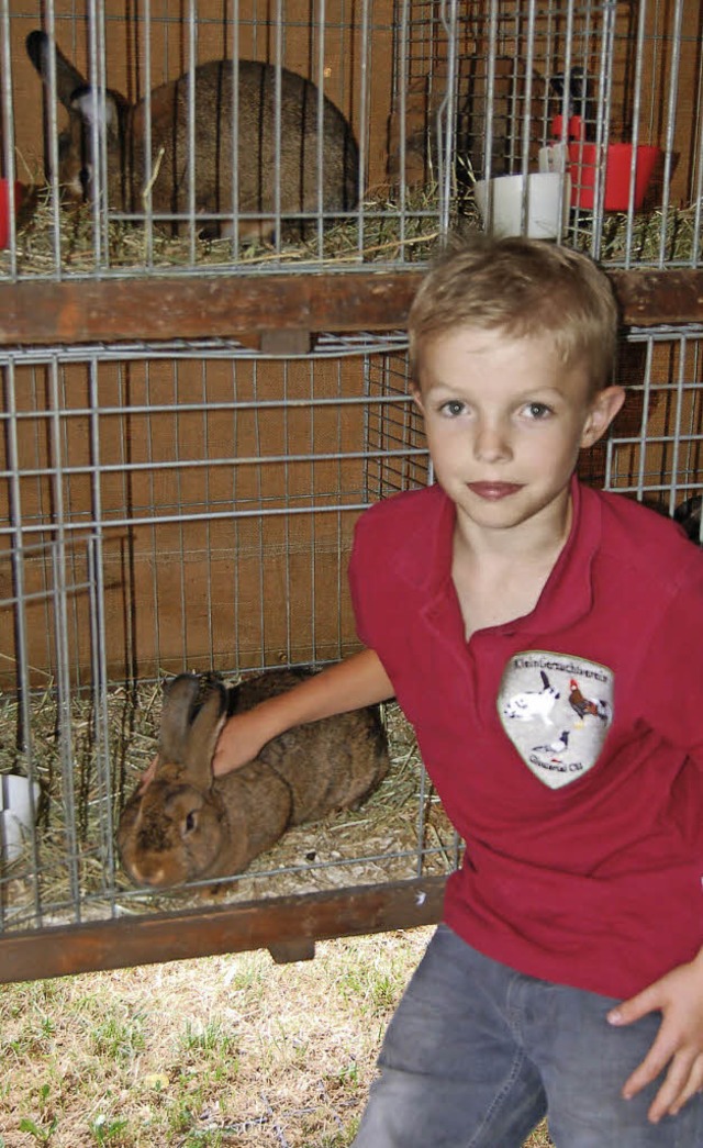 Der elfjhrige Lukas zchtet Graue Wiener.   | Foto: Christian Ringwald