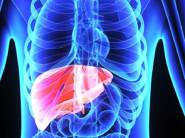 Bei Hepatitis leidet die Leber.    | Foto: BZ/7activestudio (fotolia.com)