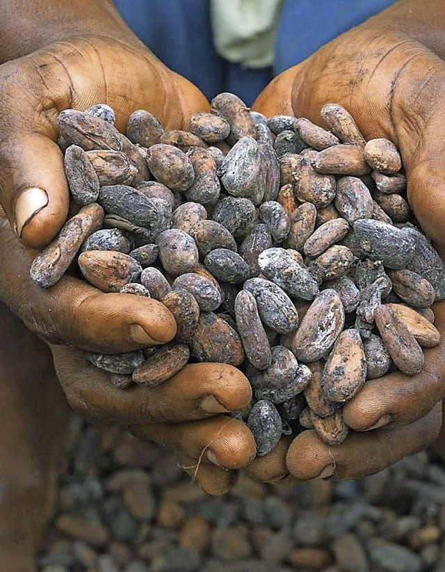 Um fairen Handel &#8211; im Bild Kakao...m Klimacaf im Weltladen  Regentropfen  | Foto: AFP