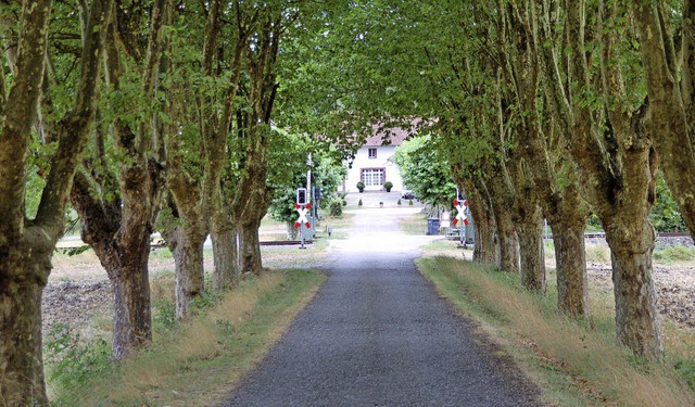 Die Huser im Schlosshof (Foto) und da...iche Klranlage angeschlossen werden.   | Foto: Hildegard Siebold