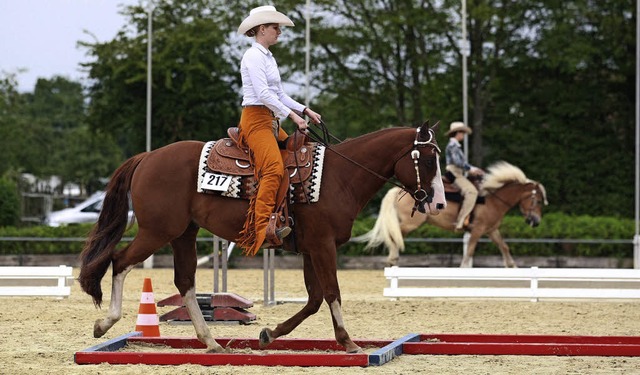Das Zusammenspiel zwischen Pferd und Reiterin ist entscheidend.   | Foto: Archivfoto: Alexandra Buss