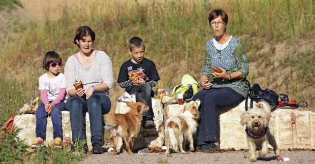 Auch kuschelig: Whrend ihr Auto in ei...in Picknick an der Nordwestumfahrung.   | Foto: Lauber