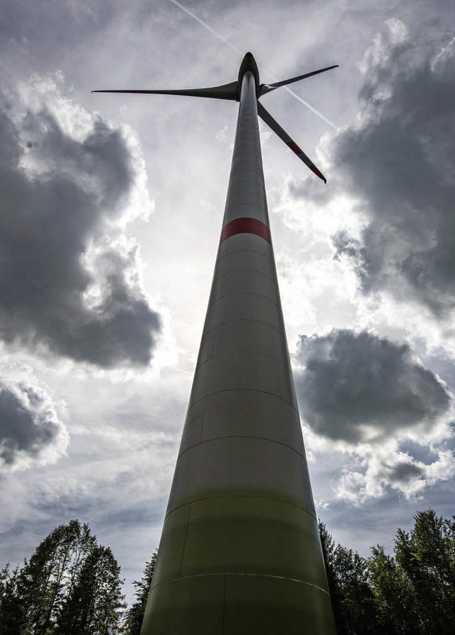 Nicht der Untergang des Waldes: Windrder   | Foto: dpa