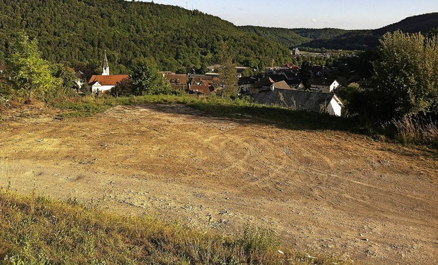 Hoch ber Sthlingen, auf dem Gelnde ...i Einfamilienhuser entstehen knnen.   | Foto: Dietmar Noeske