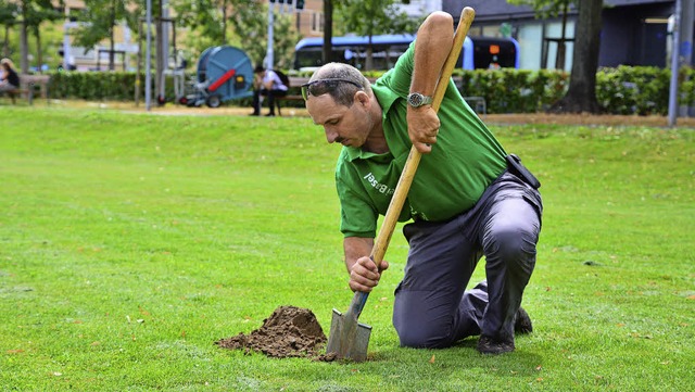 Heinz Schindler von der Basler Stadtgrtnerei bei der Arbeit.   | Foto: Annette Mahro