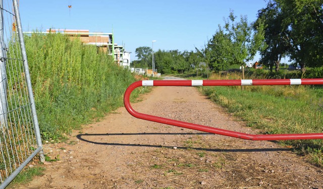 Der Fuweg am Ettenbach entlang westli... der Verwaltung, den Weg zu pflastern.  | Foto: Klaus Fischer