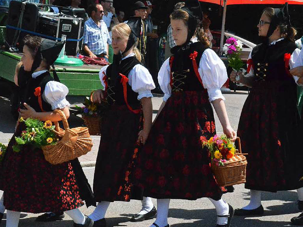 Impressionen vom Festumzug am Sonntag, 2. August, beim Bezirksmusikfest in Husern.