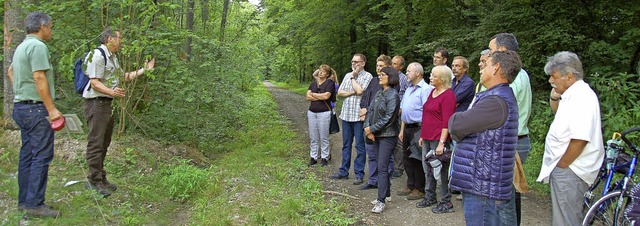 Vor Ort bei den kranken Eschen im Vrstetter Wald.   | Foto: Pia Grttinger