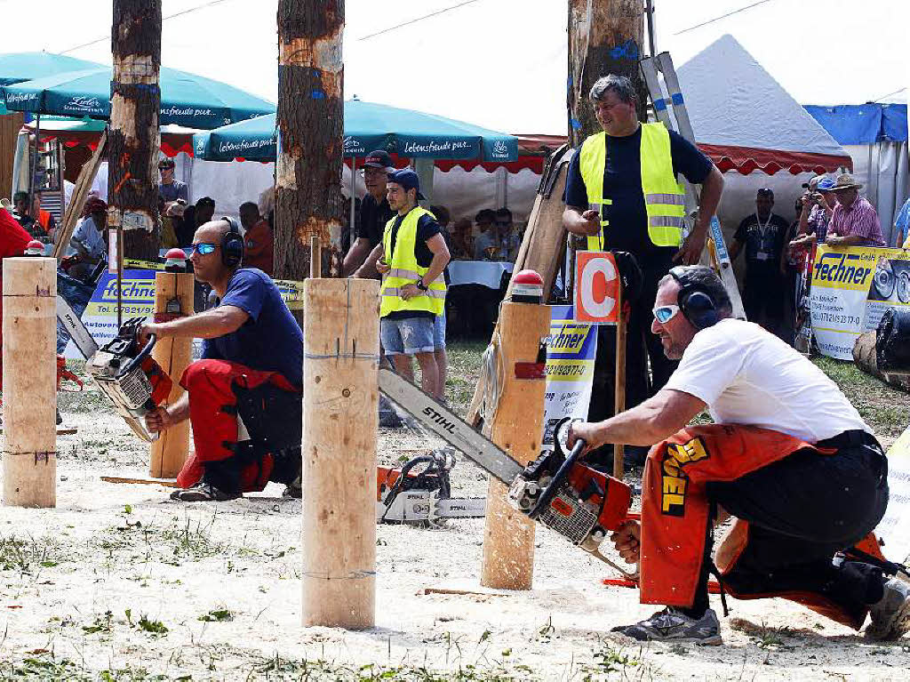 Impressionen von den Holzfllermeisterschaften am Eichberg