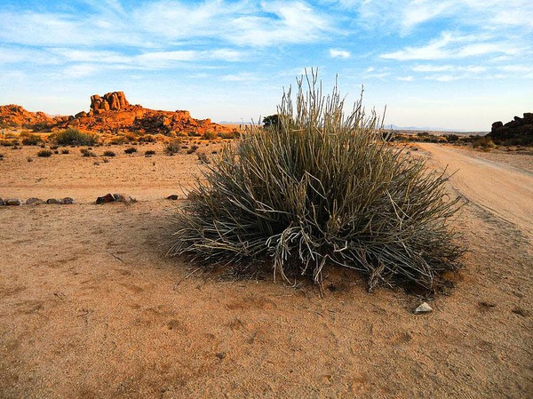 "Nahe des Fischflusscanyons". Fotografiert in Namibia von Willi Hesse aus Rheinfelden.