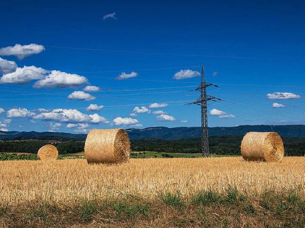 Sommer an der Bchlegass zwischen Minseln und Eichsel, fotografiert von Manuel Br aus Degerfelden.