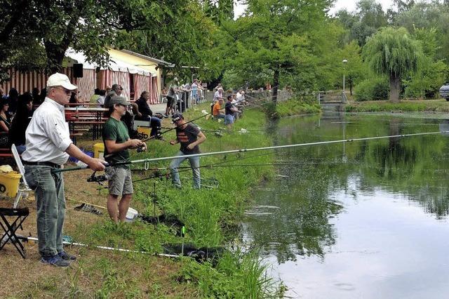 Volksfeststimmung und Fischgerichte