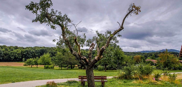   | Foto: Hans-Jrgen Strtt