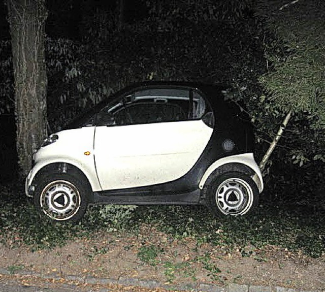 Wie dieses Auto den Weg in die Parklcke gefunden hat, bleibt wohl ein Rtsel.   | Foto: Polizei