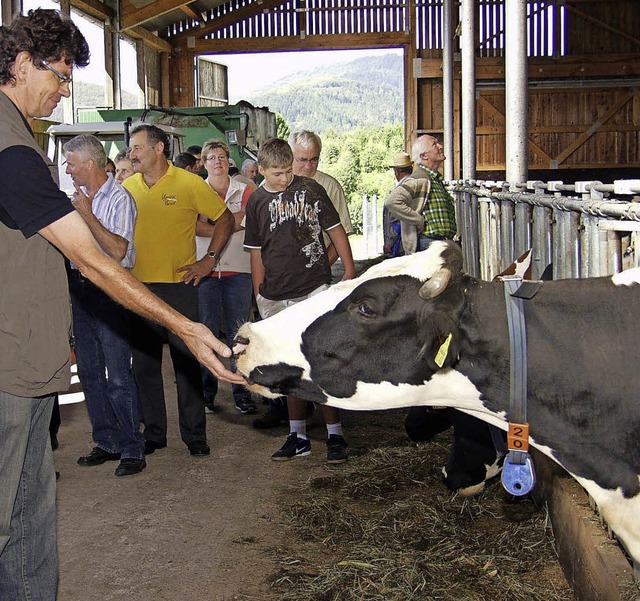 Durch TTIP knnten buerliche Betriebe...om Milchviehhaltertag in Schwand 2009   | Foto: Archivbild: Hartenstein