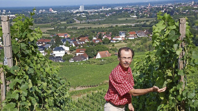 Weinbauberater Bernhard Ganter hoch ber Ortenberg und Offenburg   | Foto: hubert rderer