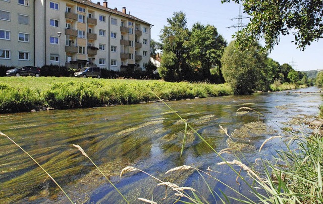 Die Algen in der Wiese wachsen derzeit...den Fischen gefllt das nicht so gut.   | Foto: Maja Tolsdorf