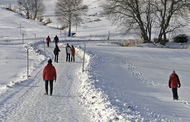 An den Winter denken Gemeinderat und L...derat hat die Entscheidung verschoben.  | Foto: Ulrike Spiegelhalter