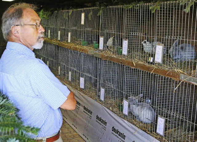 Jungtiere  im Blick bei der Kreis-Pokalschau in Hausen   | Foto: Hege