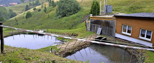 An den  Fischweihern des vor 20 Jahren...enstein wieder das Fischerfest statt.   | Foto: Rmmele