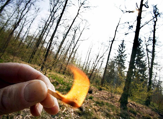 Auch in den Wldern rund um Breisach u...oes, gefhrliches Feuer zu entfachen.  | Foto: dpa