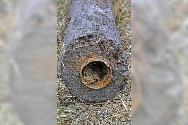 Seltener Fund: Wasserleitung aus Holz