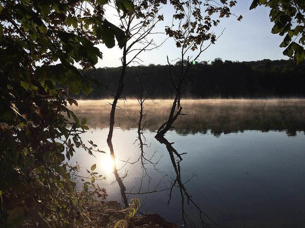 "Morgenstimmung bei Schloss Beuggen", fotografiert von Beate Keller.