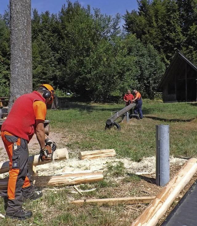 Forstmitarbeiter brachten den Egger Gr...nd Erlebnisspielplatz  auf Vordermann.  | Foto: Wolfgang Adam