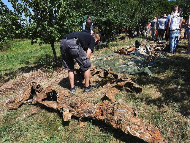 Die Wrackteile des Jagdbombers  sind gut erhalten.  | Foto: Patrick Seeger (dpa)