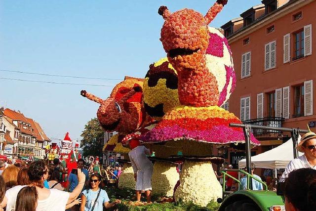 Fotos: 86. Corso Fleuri in Slestat – 