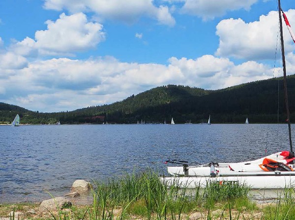 "Segelrevier Schluchsee, mit dem XCat Katamaran." von Anette Michalski