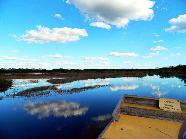 Aufgenommen auf einem Air-Boot in den Everglades in Florida